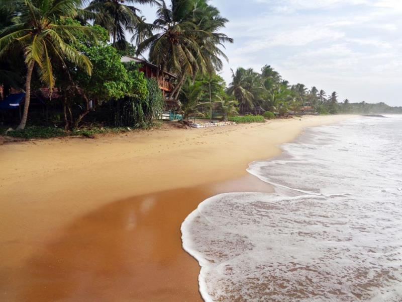 Reggae Zone Beach Resort Tangalle Extérieur photo