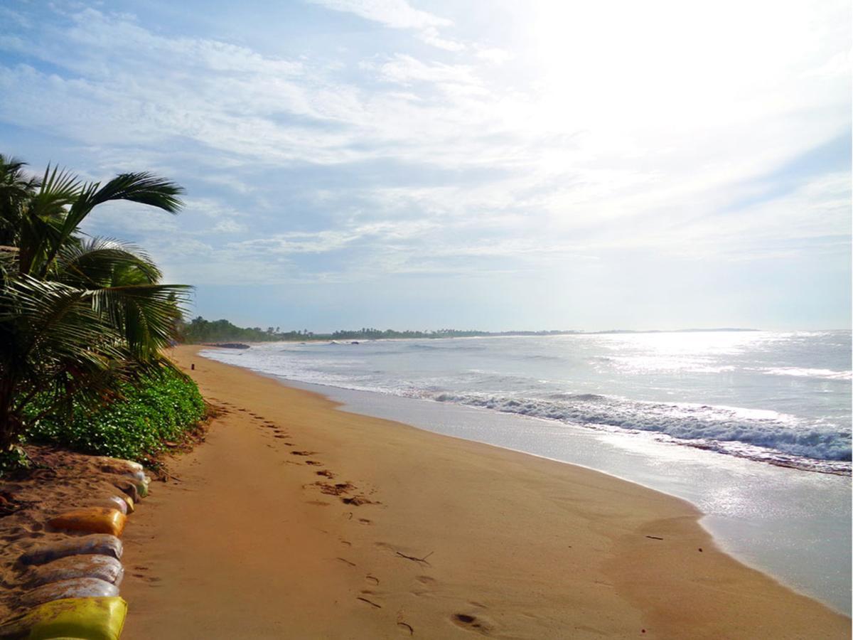 Reggae Zone Beach Resort Tangalle Extérieur photo