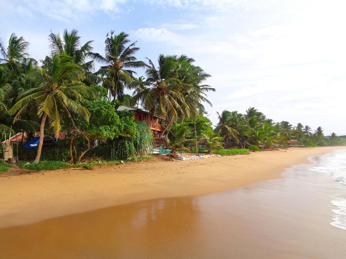 Reggae Zone Beach Resort Tangalle Extérieur photo